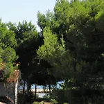 Vink Διαμέρισμα *